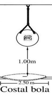 Costal Cleto Reyes bola, sintético - Image 4