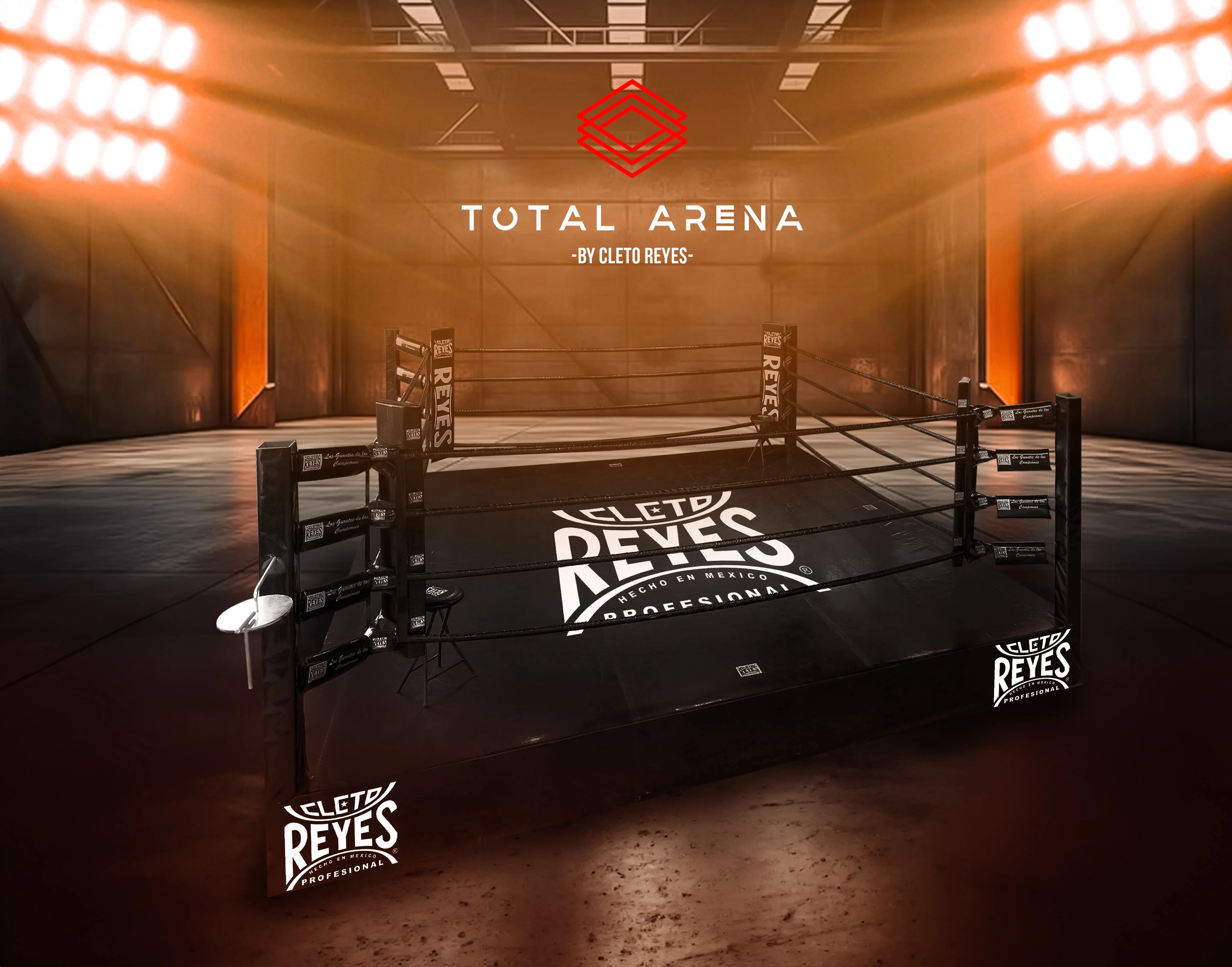 Ring "Total Arena" Sparring - Image 2