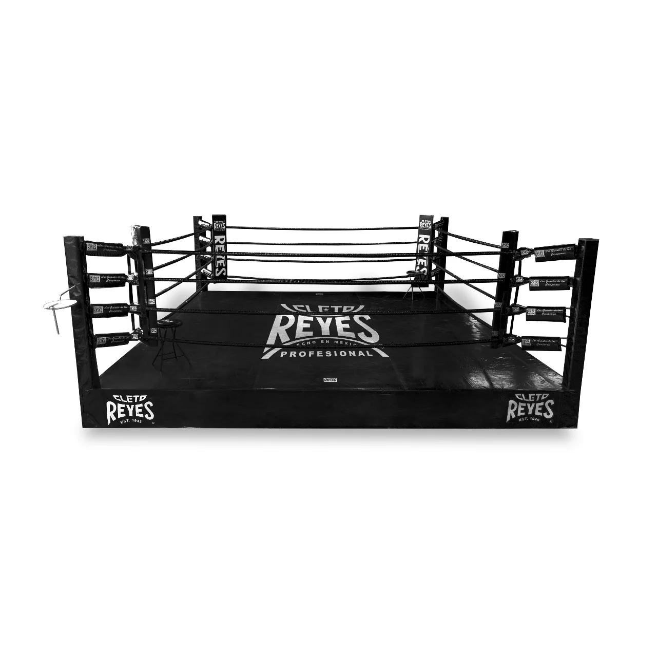 Ring "Total Arena" Sparring - Image 3