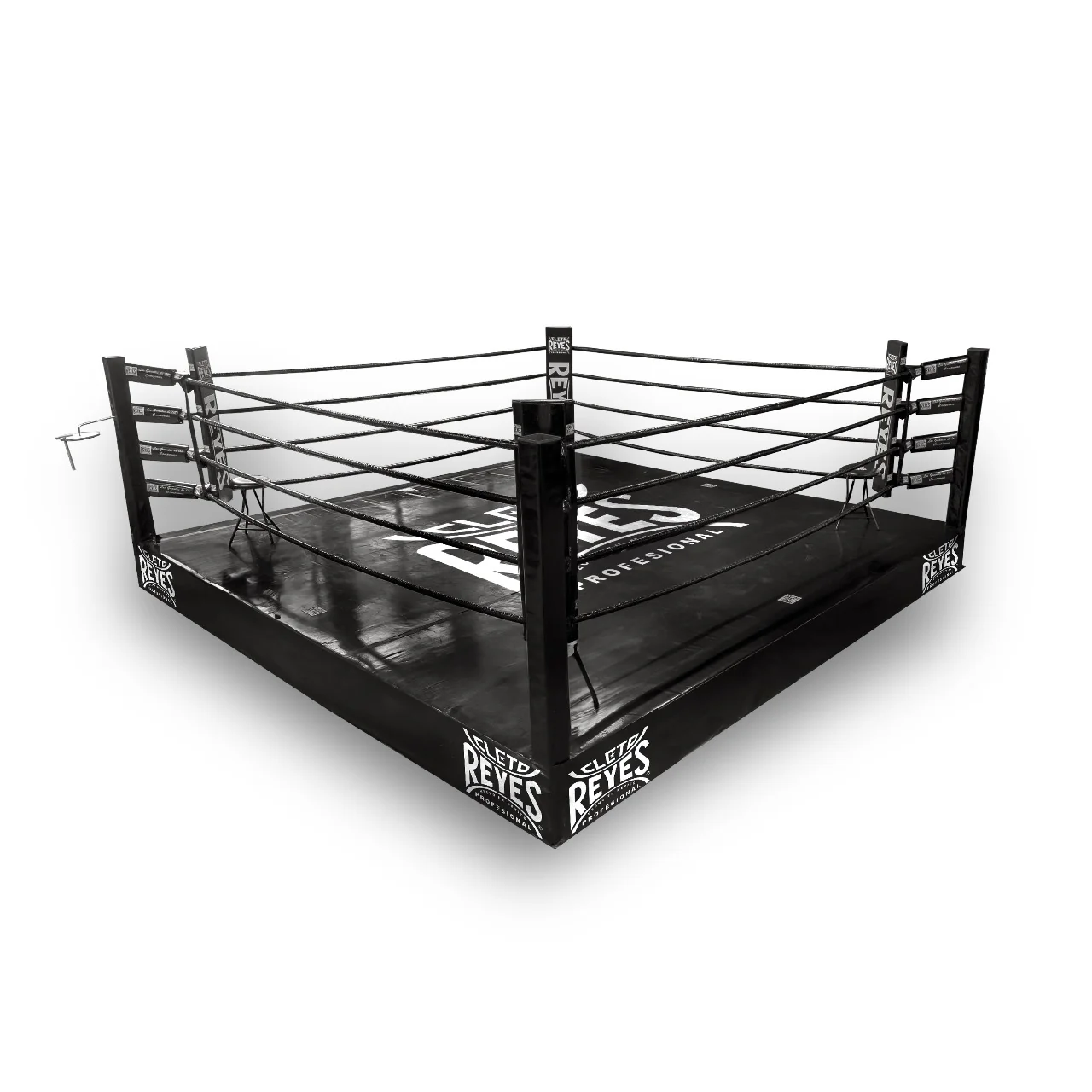 Ring "Total Arena" Sparring - Image 4